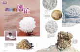 繽紛的鹽花 - 科學少年 · 俄羅斯的埃利通 湖上常有鹽結晶形 成的小白花。 美國死亡谷的惡水湖 因為天氣炎熱，湖水大 量蒸發，會析出許多的