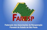 Federação das Associações de Recuperação Florestal do Estado de São Paulo · 2020-04-27 · Área total de plantios florestais por gênero no Brasil Eucalipto 5.102.030 ha.