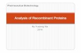 2 Analysis of Recombinant Proteinsweb.xidian.edu.cn/yqxia/files/20140222_213148.pdf · Outline 3 Protein structure Protein folding Protein stability Analytical techniques u riR6 o]åz