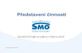 Představení činnosti · 2018-04-11 · 4 HLAVNÍ CÍLE A ČINNOSTI Prosazovat společné zájmy obcí a měst ČR a vytvářet příznivé podmínky k jejich rozvoji. Podílet