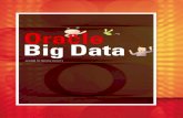 Oracle Big Data · 03_Big Data 의 활용 ... 현재 3천만 개 이상의 사물인터넷 센서가 설치 (향후 5년 동안 CAGR 35% 증가) 원격 헬스 모니터링을 통한