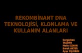 REKOMBİNANT DNA TEKNOLOJİSİ, KLONLAMA VE KULLANIM …kisi.deu.edu.tr/asli.memisoglu/BÖK/6-Rekombinant... · 2019-12-29 · Rekombinant DNA teknolojisi, doğada kendiliğinden