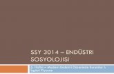 SSY 3014 – Endüstri sosyolojisi · 2019-08-22 · alışverişi ve pazarlık yapılır. 5. Kabul: İşveren ve işçi çalışma koşulları ve ücret üzerinde anlaşmaya varırlar