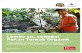 Lemna sp. sebagai Pakan Ternak OrganikKonsorsium Hivos 2016 Proyek GADING (Penghimpunan dan penyebarluasan informasi serta pengetahuan ramah lingkungan untuk tenaga kerja pertanian
