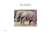 Der Elefant - materials.lehrerweb.atmaterials.lehrerweb.at/fileadmin/lehrerweb/...Die Elefanten werden gefangen, wenn sie noch sehr jung sind. Die gelehrigen Tiere werden rasch zahm