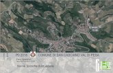 P0 2018 COMUNE DI SAN CASCIANO VAL DI PESA · 2019-05-15 · Comune di San Casciano in Val di Pesa 2 INDICE PARTE 1 ... Art. 37 - Programma di intervento per l’abbattimento delle