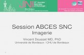 Session ABCES SNC - Infectiologie · 2015-09-30 · Séquences Additionnelles IRM 3T et 1.5T ± Venogram-MRI (or Veno-CT) pour les Thromboses Veineuses ± Angio-MRI pour les Vascularites