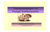 Transplantasyon ve Fungal Enfeksiyonlar€¦ · • Sıklıkla pulmoner kavite ve bronşiektazi alanlarında, mantar topu ve miçetoma oluşur. • Mantar topu irritasyon ve inflamasyona