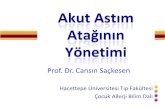 Prof. Dr. Cansın Saçkesenfile.abstractagent.com/2013millipediatri/pdf/CANSIN SACKESEN.pdf · • Komorbid hastalıklar (Kistik fibrosis, bronşiektazi, kardiyovasküler hastalıklar