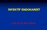 ĠNFEKTĠF ENDOKARDĠTcdn.istanbul.edu.tr/statics/ogrenci-istanbultip... · İnfektif Endokardit: Yüksek riskli hastalar Yapay kalp kapakları Geçirilmiş bakteriyel endokardit