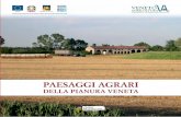 PAESAGGI AGRARI - Veneto Agricoltura...il paesaggio è quella forma che l’uomo, nel corso e ai fini delle sue attività produttive agri- cole, coscientemente e sistematicamente imprime