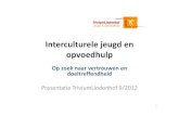 Interculturele jeugd en opvoedhulp - swphost.compdf.swphost.com/Sozio/Interculturele_jeugd_en_opvoedhulp_voordra… · Cijfertjes • Bij TriviumLindenhof Rotterdam is > 50 % ...