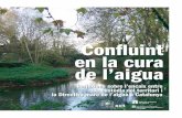 Confluint en la cura - xct.cat · a conèixer els punts en comú i les oportunitats entre la custòdia del territori i la Directiva marc de l’aigua. 1 L’Agència Catalana de l’Aigua