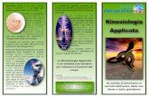 Volantino Kinesiologia Applicata - MondoChiropratico · 2020-01-18 · Kinesiologia Applicata La Kinesiologia Applicata è una specializzazione della chiropratica ed un importante