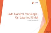 Rode bloedcel morfologie: Van Labo tot Kliniek · 2020-05-18 · Rode bloedcel morfologie: Van Labo tot Kliniek Critically Appraised Topic Otto Van de gaer 12/05/2020