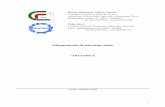 Renato Delmastro, Vittorio Nasorri Consiglio Nazionale ... · Istituto per le Macchine Agricole e Movimento Terra Strada delle Cacce, 73 10135 TORINO tel. 011/3977501 - fax 011/3977209