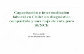 Capacitación e intermediación laboral en Chile: un diagnóstico … · 2017-06-17 · La hoja de ruta: revisión de la acreditación OTEC Actualización y generación de guías