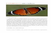 LA FARFALLA: mito e bellezza - gevforli.it · 2019-03-01 · la farfalla è uno dei soggetti maggiormente riprodotti. Le Fate farfalla L’Inghilterra vittoriana vede un notevole