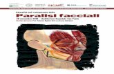 Attualità nel trattamento delle Paralisi facciali · 14.00 Il nervo facciale nella chirurgia della base cranica G. Danesi 14.20 Neurinoma dell’ottavo e nervo facciale R. Pareschi