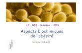 Obesité L2 2016 CS · Facteurs environnementaux Rôle de la flore intestinale = microbiote intestinale - Le Chatelier et al. Nature, 2013 - Cotillard et al. Nature, 2013