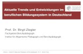Aktuelle Trends und Entwicklungen im beruflichen ......Deutschland tendenziell als ‚Berufsgesellschaft‘, und zwar in einem fortdauernden Prozess der Institutionalisierung grundlegender