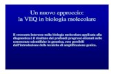 Un nuovo approccio: la VEQ in biologia molecolaredi biologia molecolare nell’U.O. Microbiologia nel primo semestre 2005 PCR o altre tecniche di amplificazione del bersaglio 4090