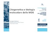 Citogene1ca e biologia molecolare delle MDSCitogene1ca e biologia molecolare delle MDS Definizione Le sindromi mielodisplastiche sono un gruppo di malattie clonali delle cellule staminali