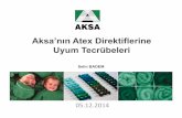 Aksa’nın Atex Direktiflerine Uyum Tecrübeleri · Gaz patlama riskitaşıyan yerler, Sahadan sorumlu mühendisler, İlgili saha, bölge ve ünite bilgileri, Patlama özelliği
