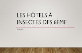 Les hôtels à insectes des 6ème - ecotechno.fr · Title: Les hôtels à insectes des 6ème Author: Pierre Schwindenhammer Created Date: 5/18/2020 8:18:52 AM