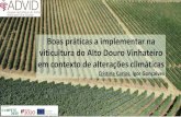 Boas práticas a implementar na viticultura do Alto Douro … · 2020-07-06 · 0 5 10 20 30 Km! RDD - Sub Regions Baixo Corgo Cima Corgo Douro Superior Vineyard spot* Main rivers