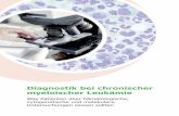 Diagnostik bei chronischer myeloischer Leukämie · 2019-05-23 · Diagnostik bei chronischer myeloischer Leukämie CML-Diagnostik: Hintergrund Durch diagnostische Untersuchungen