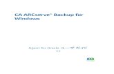 CA ARCserve® Backup for Windowsdocumentation.arcserve.com/Arcserve-Backup/Available/R16/...CA ARCserve® Backup for Windows Disaster Recovery Option CA ARCserve® Backup for Windows