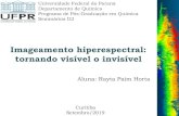 Imageamento hiperespectral: tornando visível o invisível · 2019-09-16 · Imageamento hiperespectral 3 HSI (do inglês “Hyperspectral Imaging”): Espectroscopia de Imageamento.