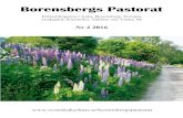 Borensbergs Pastorat Nr 2 2016 Nr 2 Församlingsblad.pdf · En bukett vitsippor Jag fick en bukett med vitsippor av kyrkvärden Margareta. Blommorna hade prytt bordet vid dopfunten