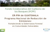 Fondo Colaborativo del Carbono de los Bosques (FCPF) · Integral (PNDRI), Ley de Áreas Protegidas, Política Nacional de Biodiversidad, Ley Marco de Cambio Climático, entre otras.