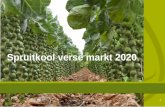Spruitkool verse markt 2020 - Syngenta Nederland...2019/12/09  · Deze brochure is uitsluitend bedoeld om algemene informatie omtrent Syngenta producten aan de gebruiker te verstrekken