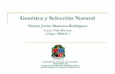 Genética y Selección Naturalpoboyca/documentos...Darwin (y Wallace) Dieron origen a la idea de Evolución Biológica por medio de la operación de Selección Natural Hay reproducción