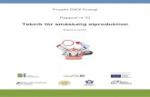 Projekt SWX-Energi Rapport nr 33523300/... · 2012-04-24 · Projekt SWX-Energi Rapport nr 33 Teknik för småskalig elproduktion Klaus Lorenz . 1 FÖRORD Rapporten Småskalig elproduktion