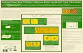 Induced Growth of Calcium Carbonate Using an Atomic Force ...jtd/presentations/ann/showcase.pdf · spontaneous growth can still be produced. The scanning induced growth rate does