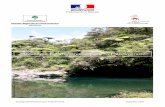 Stratégie Réunionnaise pour la Biodiversité · A La Réunion, des actions intéressantes sont d’ores et déjà menées, mais de nombreuses difficultés méritent d’être relevées