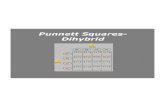 Loudoun County Public Schools / Overview...Punnett Squares- Dihybrid ssYy SSYY ssyy SsYY ssYy SY ssyy SsYY ssYy SsYy ssyy ssYy Ssyy ssYy ssYY ssYy ssyy ssYy ssyyStep-by-step guide