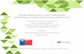 ESTUDIO RESIDENCIAS Y CASAS COMPARTIDAS: ESTRATEGIAS … · el marco del Fondo Chile de Todas y Todos 2016 de la División Publico Privada del Ministerio de Desarrollo Social. El