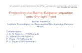 Projecting the Bethe-Salpeter equation onto the light-front · Projecting the Bethe-Salpeter equation onto the light-front Tobias Frederico Instituto Tecnológico de Aeronáutica/São
