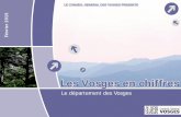 Les Vosges en chiffreselections2015.vosges.fr/Portals/2/PDF/Vosges-ChiffresCles.pdf · Les 17 nouveaux cantons des Vosges et leur chef-lieu • 3 arrondissements (Neufchâteau, ...