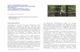 Les inventaires par échantillonnage · Note technique forestière de Gembloux n° 8 - FUSAGx - Mai 2002 1 Les inventaires par échantillonnage en futaie feuillue : une alternative