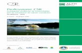 brochure Professione CSR ALTIS 2014 - Impronta …...alimentare le performance aziendali e creare valore condiviso. Ormai, un numero consistente di CSR Manager operanti nelle aziende