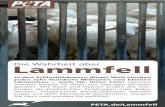 Foto © Animal Equality - PETA...Die Wahrheit über Lammfell In den Schlachthäusern dieser Welt sterben jedes Jahr Hunderte Millionen von kleinen Lämmchen – auch für Ihren Pelz!