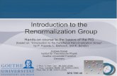 Introduction to the Renormalization Groupkreisel/tr49/student_SS10/talks/Kreisel.pdf1 Introduction to the Renormalization Group Hands-on course to the basics of the RG (based on: Introduction