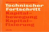 ROBERT KATZENSTEIN - Philipps-Universität Marburgarchiv.ub.uni-marburg.de/es/2014/0003/html/pdfs/...Auch in diesem Bereich vollziehen sich die Prozesse nicht anders als in der Stahlindustrie.