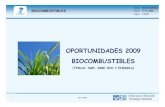 OPORTUNIDADES 2009 BIOCOMBUSTIBLESeshorizonte2020.cdti.es/recursos/doc/Programas... · KBBE-2009-3-1-02: Jatropha curcas – breeding strategy – towards a sustainable crop for biomaterials